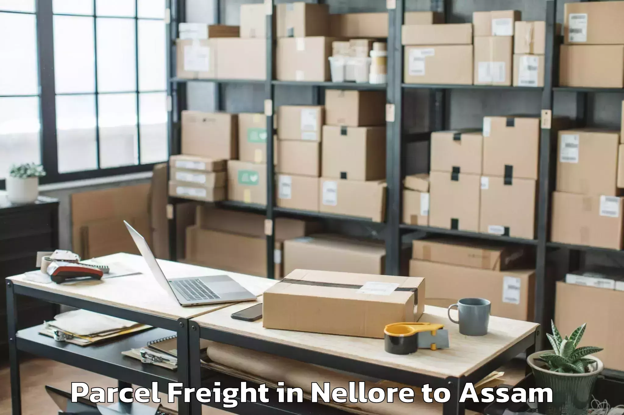 Easy Nellore to Laharighat Parcel Freight Booking